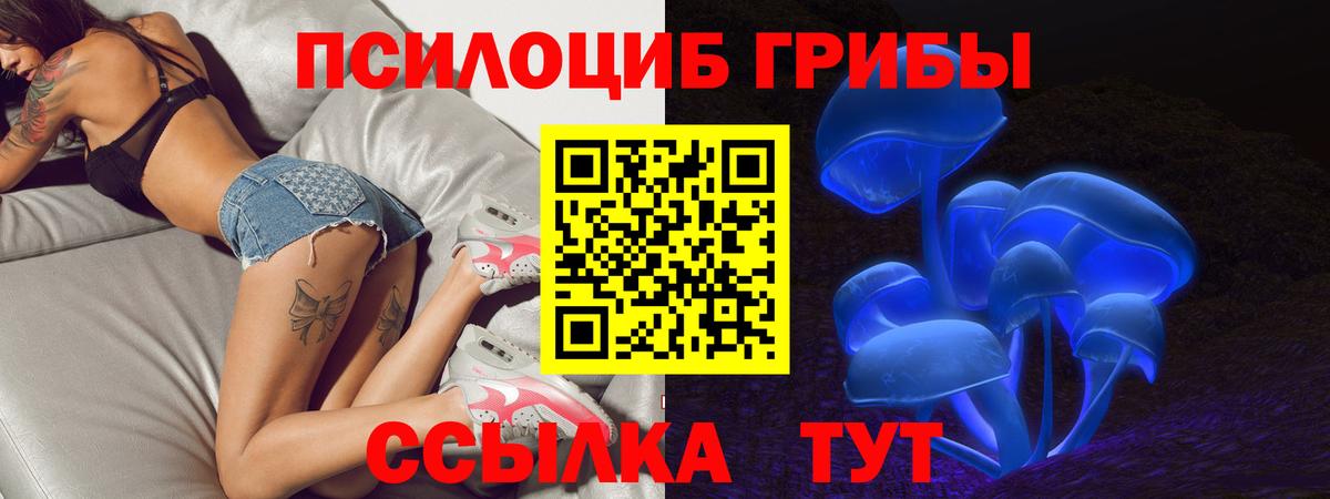 Галлюциногенные грибы Cubensis  Псилоцибиновые грибы Psilocybine cubensis  Изобильный  Вход с VPN 